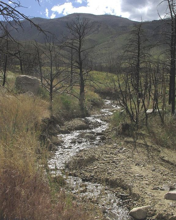 1st image of Nhn Ranger Way