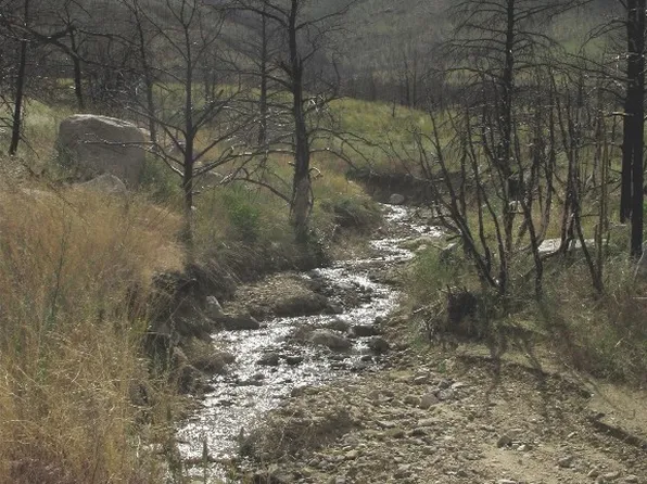 Nhn Ranger Way, Red Lodge, MT 59068