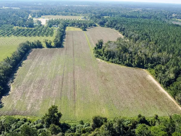1555 Stalvey Rd, Hahira, GA 31632