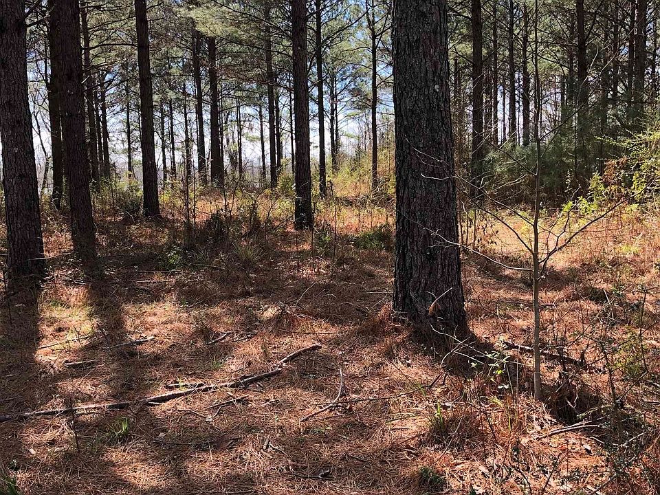 2nd image of 2043 Robinson Pond Rd