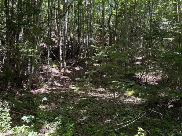 48 Ermine Road, Sandy River Plt, ME 04970