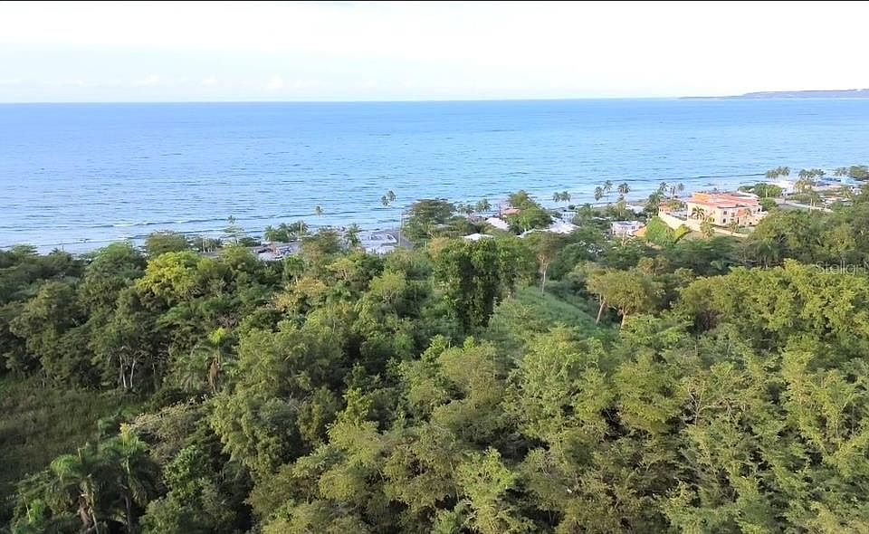 1st image of Palmar Novoa