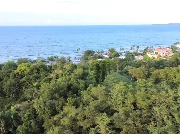 Palmar Novoa, Aguada, PR 00602