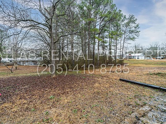 20 George Hambright Road Sumiton (after) 04_02172023