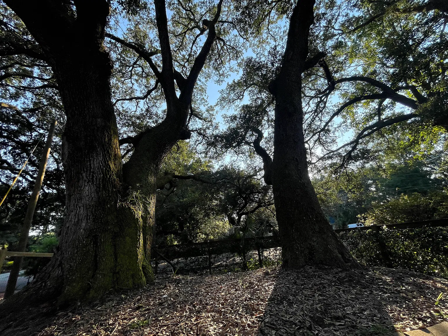 2 bed, 1200 sqft, $3,550 — Photo 3