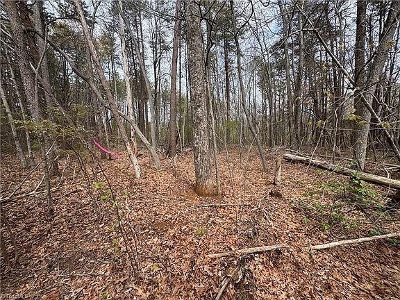 3rd image of 0 Brims Grove Rd