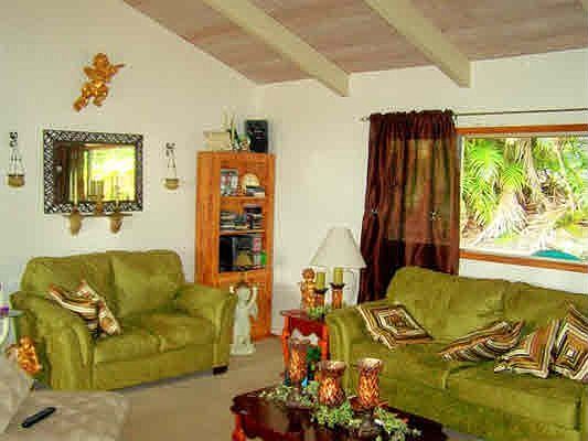 Livingroom with wood vaulted ceiling