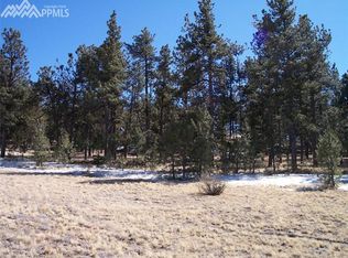 689 High Pasture Rd, Florissant, CO 80816