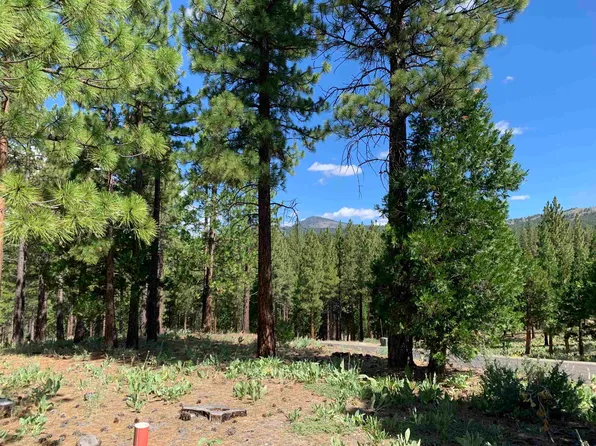 278 Big Cedar Ln, Portola, CA 96122