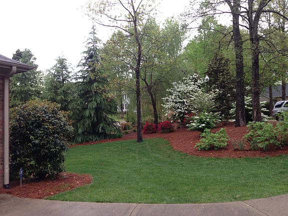 Front Yard