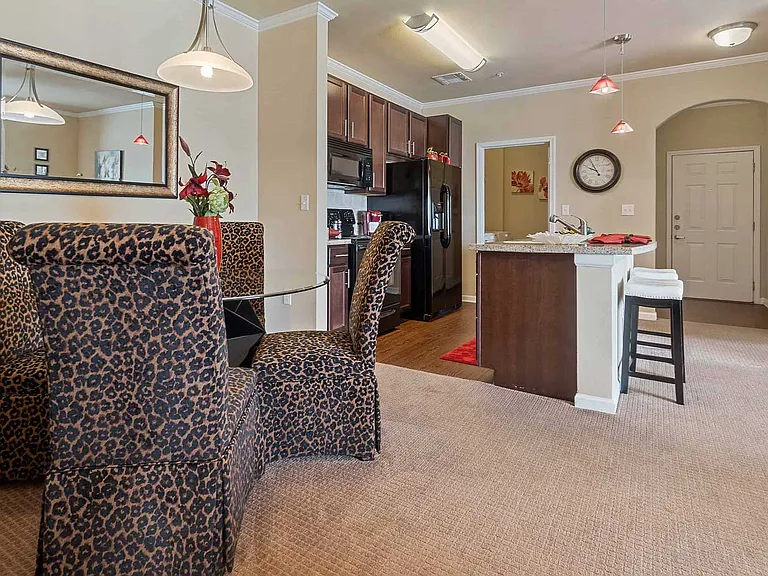 Esplanade at Stonebridge Village Apartments — Photo 20