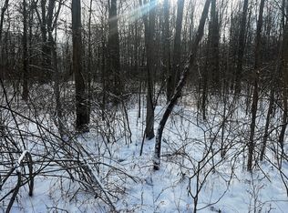 1175 Kale Adams Rd, Leavittsburg, OH 44430