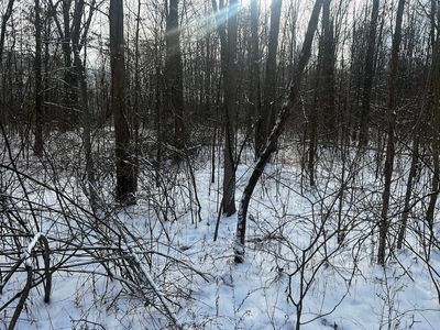 1175 Kale Adams Rd, Leavittsburg, OH, 44430