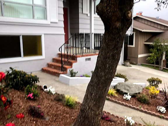 2nd image of 231 Lake Dr