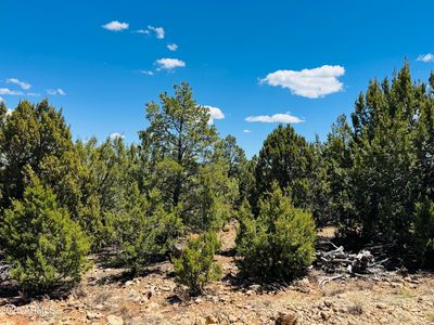 3585 Meadow Wood Dr #125, Happy Jack, AZ, 86024