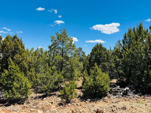 3585 MEADOW WOOD Drive #125, Happy Jack, AZ 86024