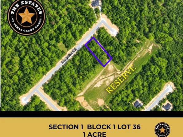 156 Longfellow Rd, New Waverly, TX 77358