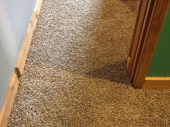 Brand new carpet upstairs