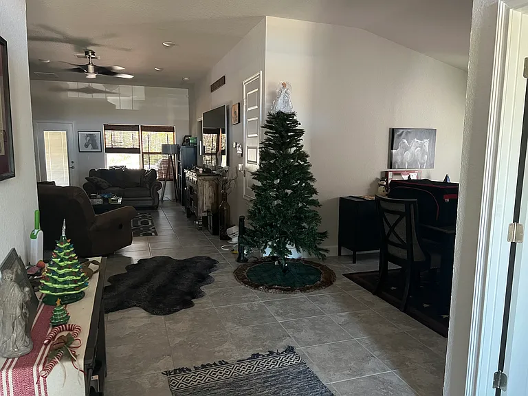 Misty Moss Dr — Photo 8