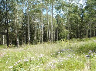 662 Crest Dr, Cimarron, CO 81220