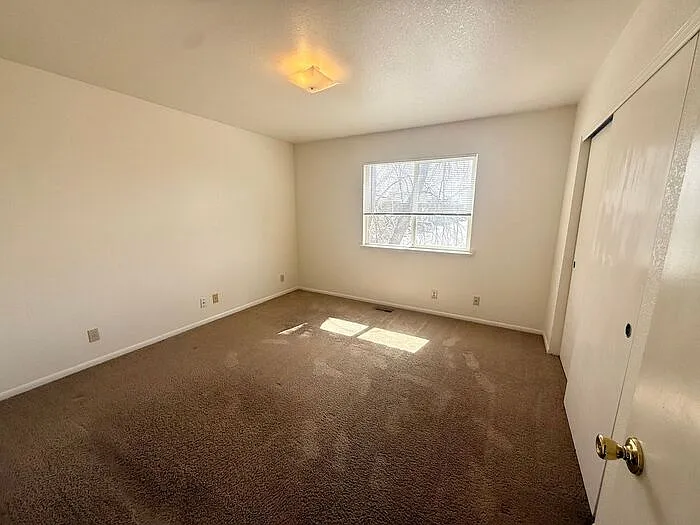 4850 Basswood Dr — Photo 8