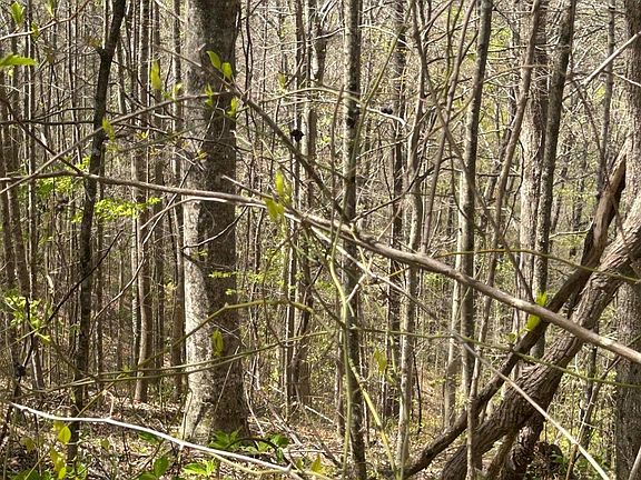 4th image of LOT 28 Jones Ridge Rd