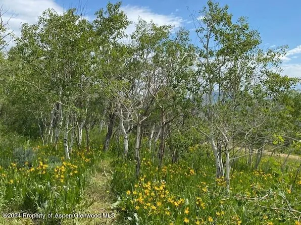 305 Sprout Ln, Craig, CO 81625