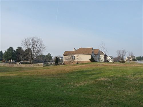 Front yard
