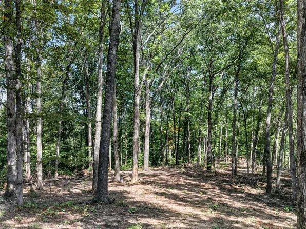 LOT 40 Pioneer Trail Ln, Crawford, TN 38554