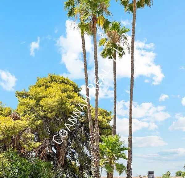3209 S Los Feliz Dr — Photo 13