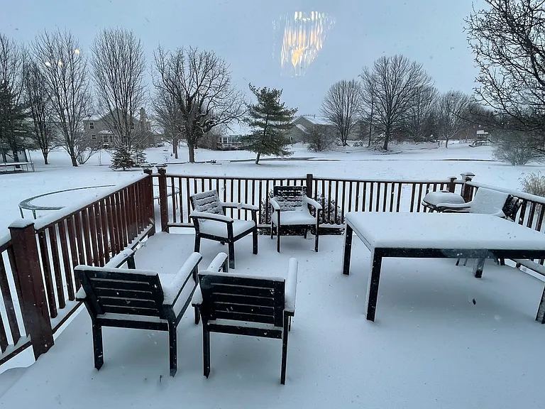 patio and backyard