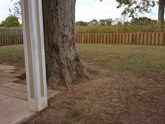 back yard