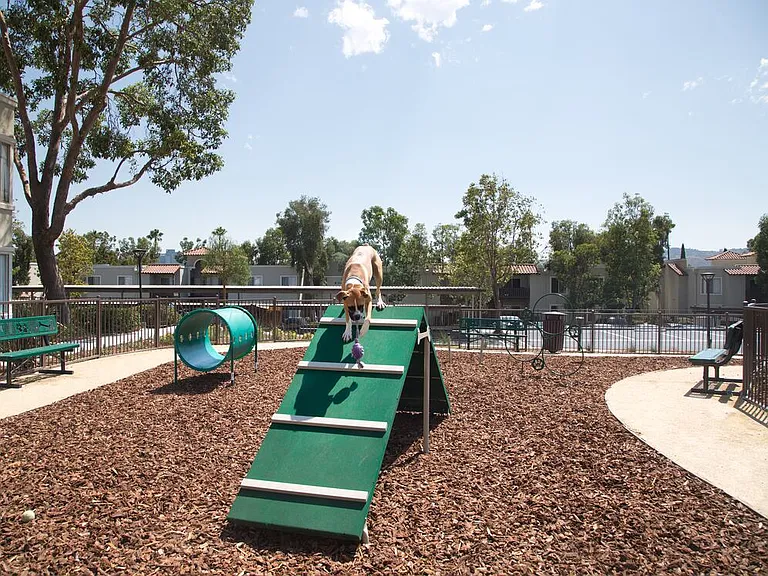 WAG pet park