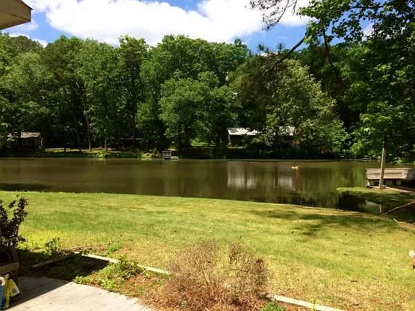 Pond