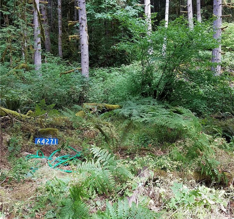 1st image of 64271 E Cascade Dr