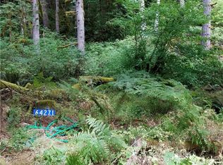64271 E Cascade Dr, Marblemount, WA 98267