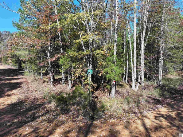 0 Smelser Dr #349-350-362, Murray, KY 42071