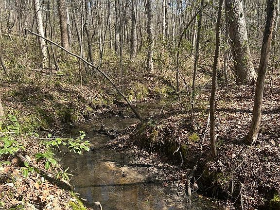 4th image of 1856 River Rd