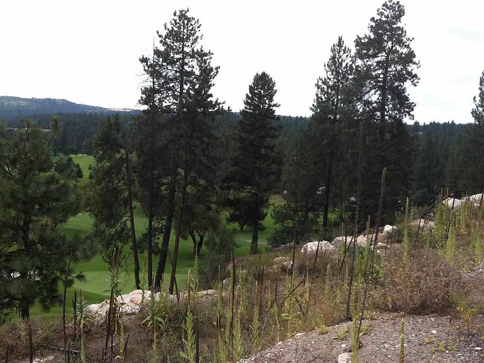 2nd image of 14113 N Wandermere Estates Ln