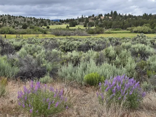 River Bank Dr, Beatty, OR 97621