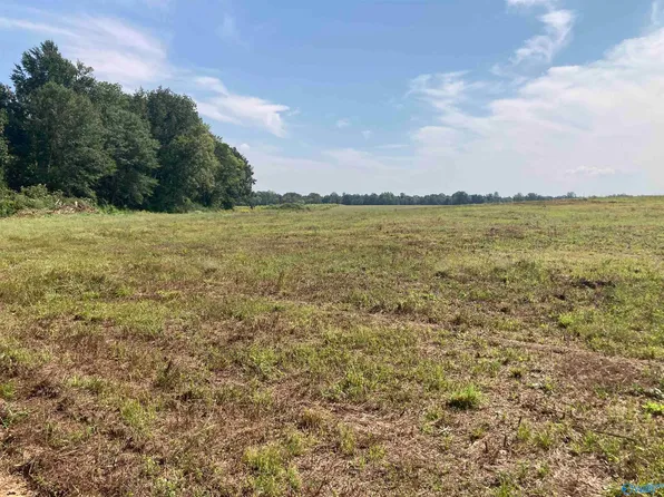 TRACT 16 Hays Mill Rd, Elkmont, AL 35620