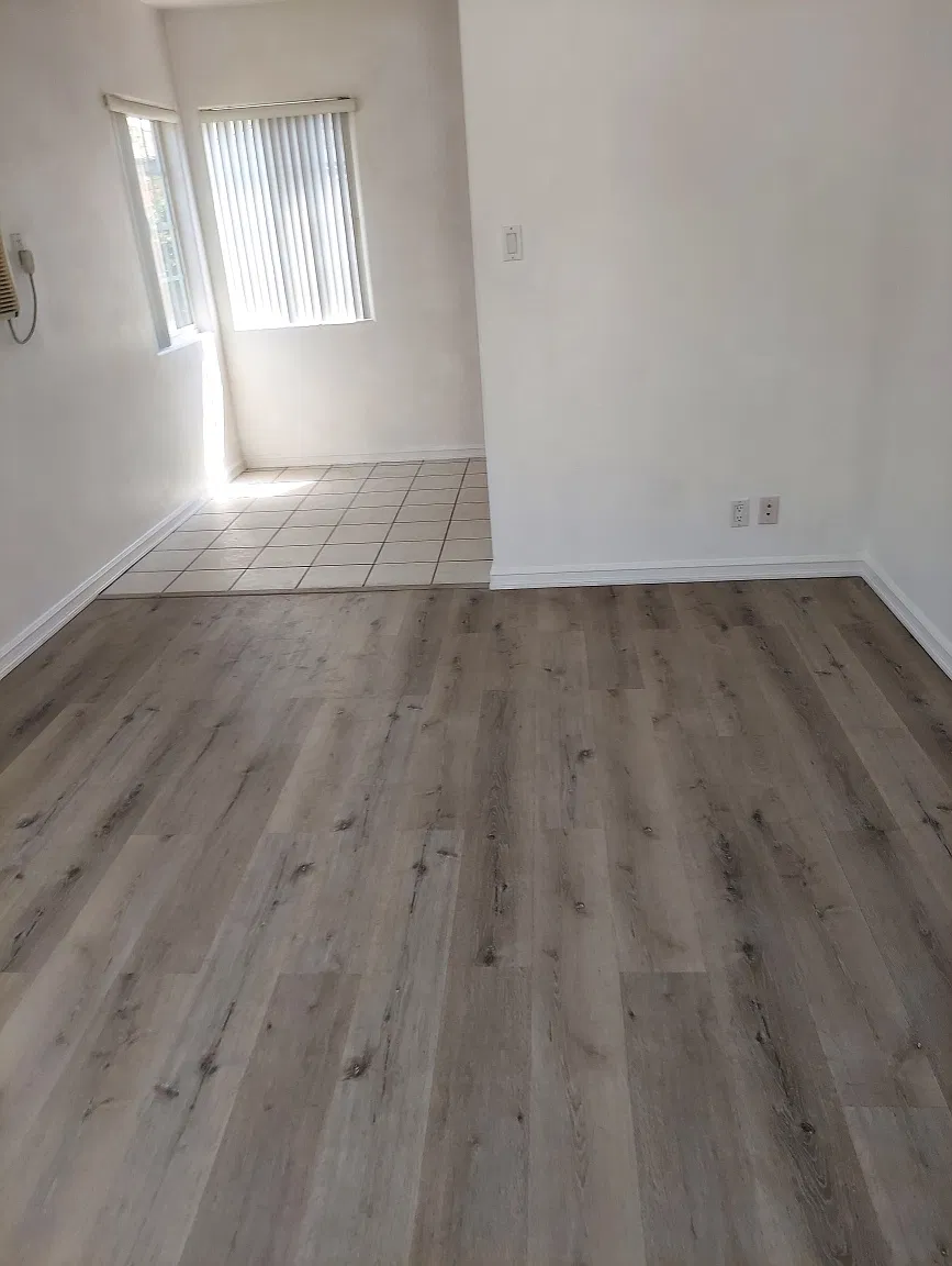 1 bed, 650 sqft, $2,000 — Photo 3