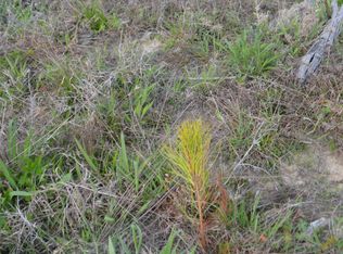 Highway 165, Cottonton, AL 36851