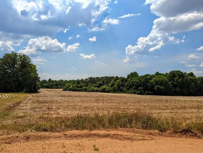 0 Joyner Rd, Rebecca, GA, 31783