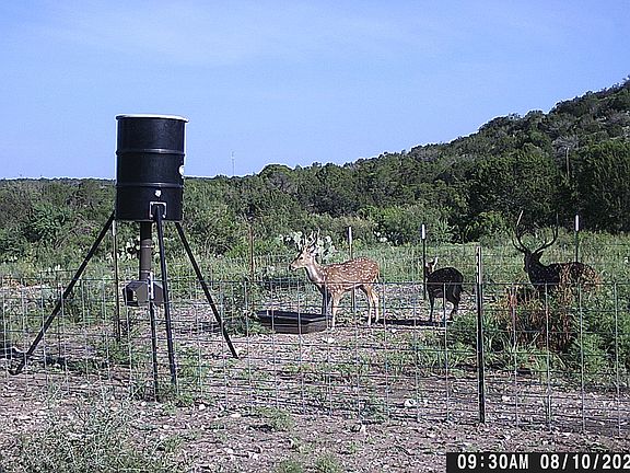 5th image of LOT 2 Dusty Rose Ranch East LOT 2