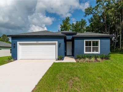 9276 N Alpinia Dr, Citrus Springs, FL, 34434
