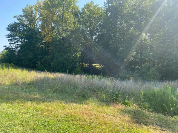 TRACT Rock Lily Rd #B, Wirtz, VA 24184