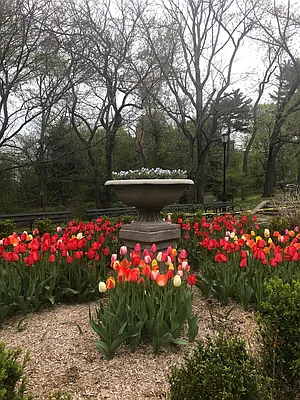 Rented by Corcoran | media 11