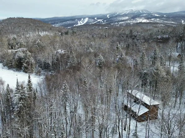 291 Chemin Des Eaux Vis, Mont Tremblant, QC J8E 1R8