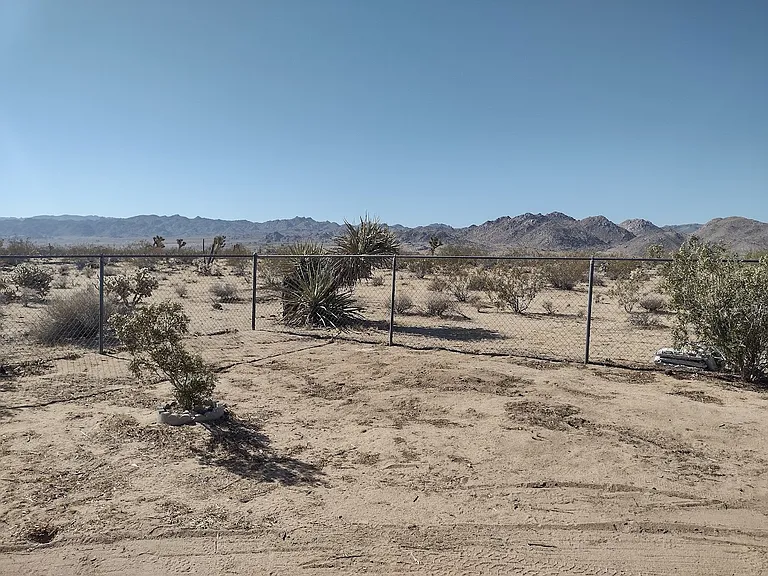 Yard view of Joshua Tree.